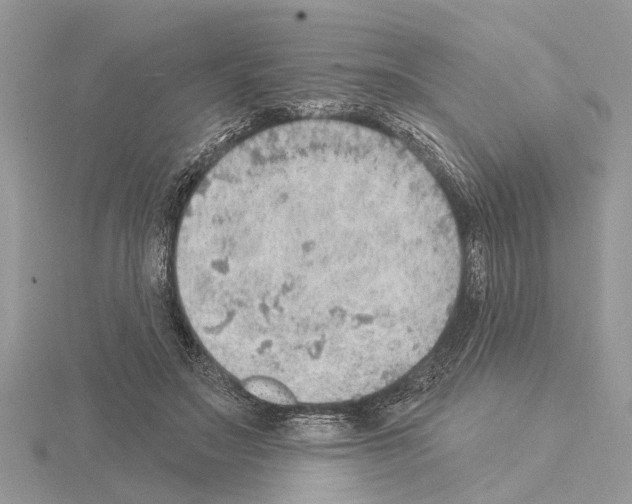 X0000115030499200912071051