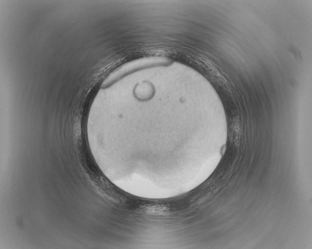 X0000115030500200912071051