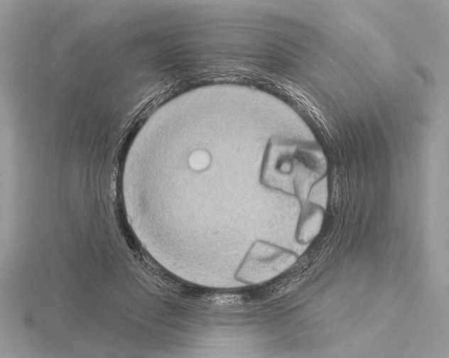 X0000115030501200912071051