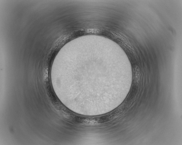 X0000115030502200912071051