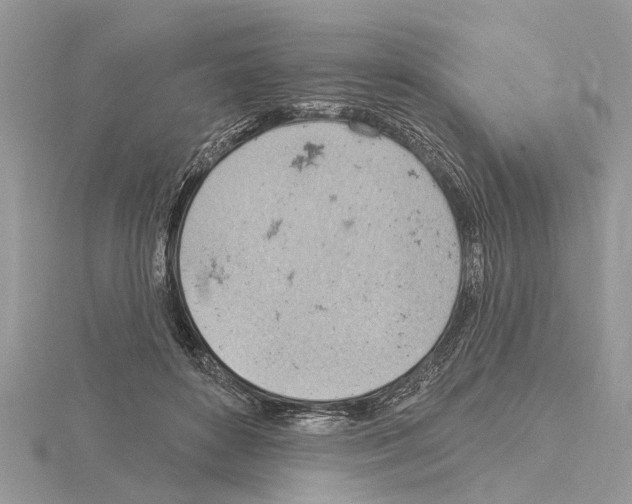 X0000115030504200912071051