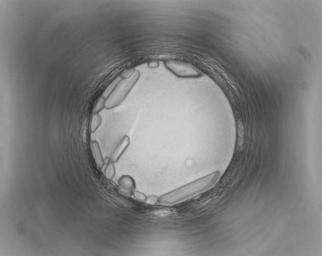 X0000115030505200912071051