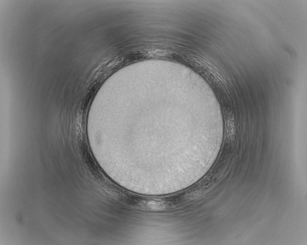 X0000115030506200912071051