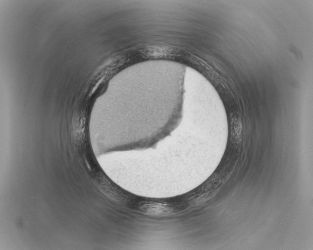 X0000115030507200912071051