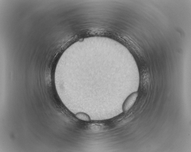 X0000115030508200912071051