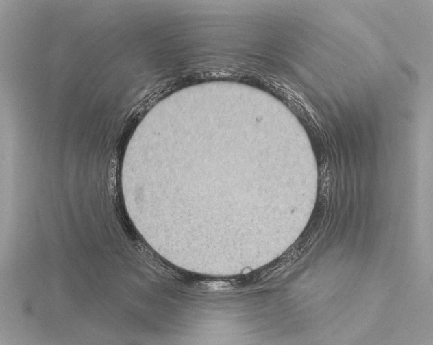 X0000115030509200912071051