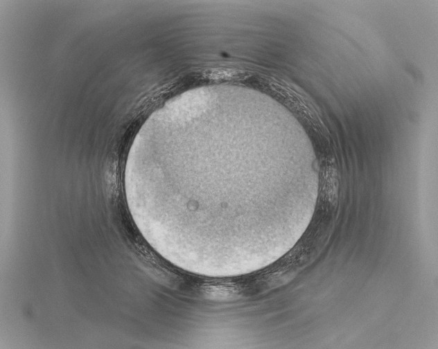 X0000115030510200912071051