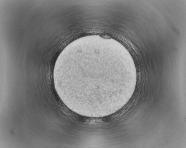 X0000115030517200912071051