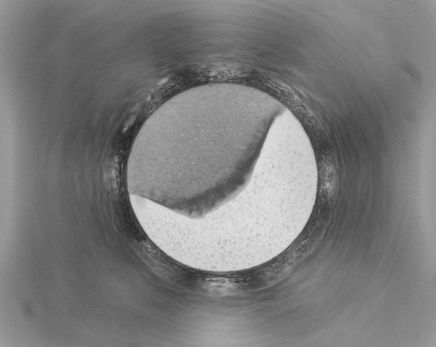 X0000115030519200912071051