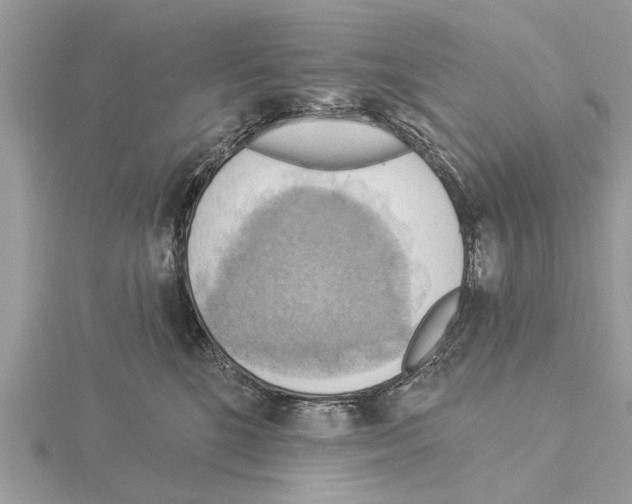 X0000115030520200912071051