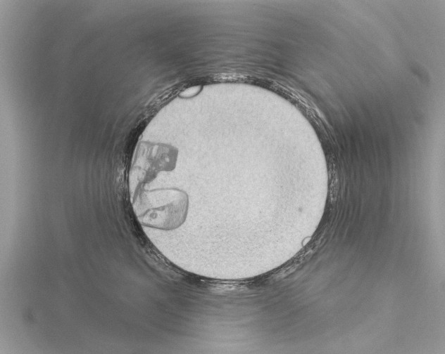 X0000115030521200912071051