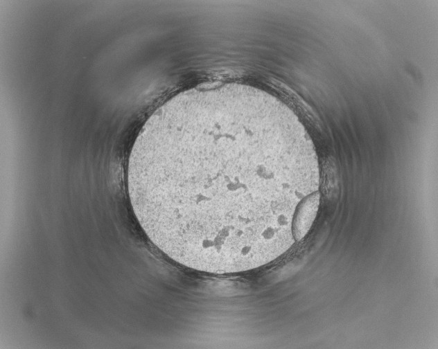 X0000115030523200912071051