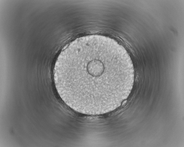 X0000115030524200912071051