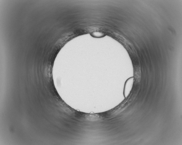 X0000115030525200912071051