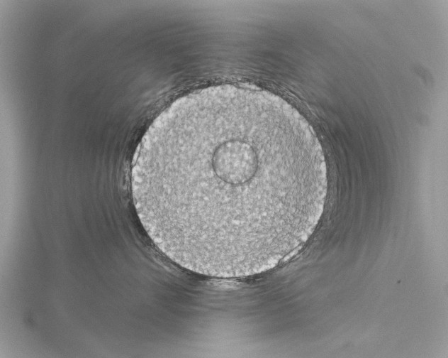 X0000115030528200912071051