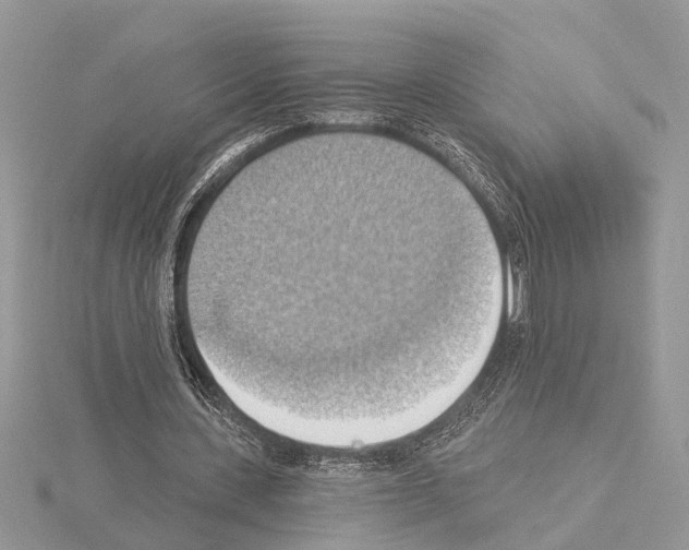 X0000115030531200912071050