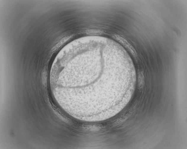 X0000115030533200912071050