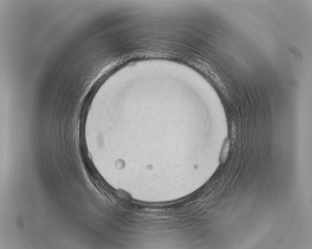 X0000115030534200912071050