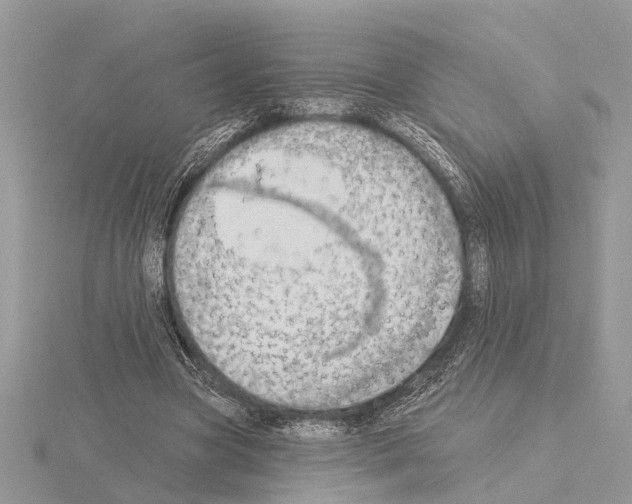 X0000115030537200912071051