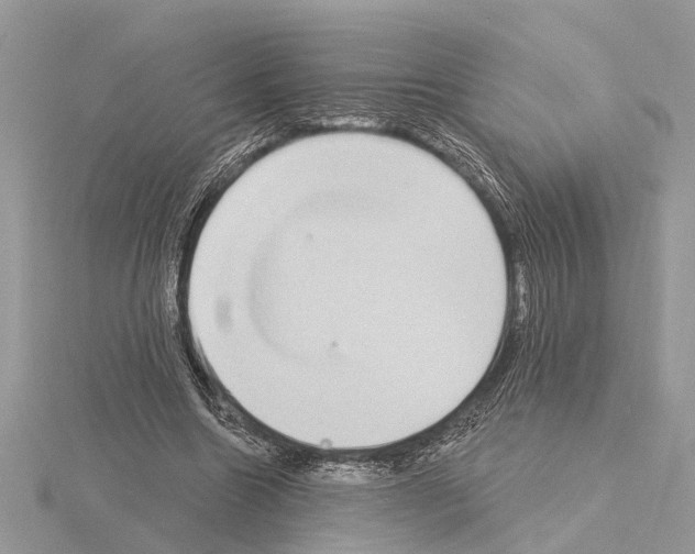 X0000115030538200912071051