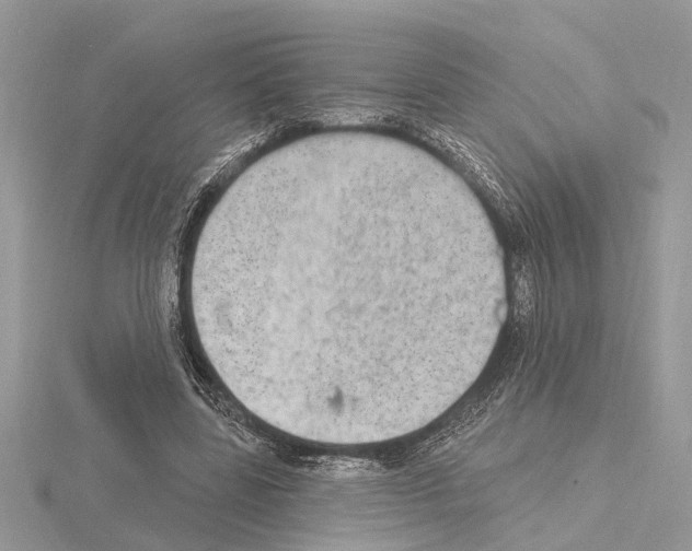 X0000115030539200912071051