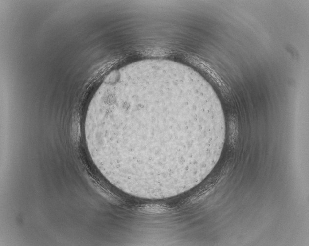 X0000115030541200912071051