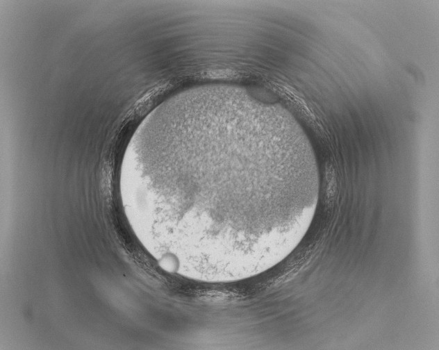 X0000115030542200912071051