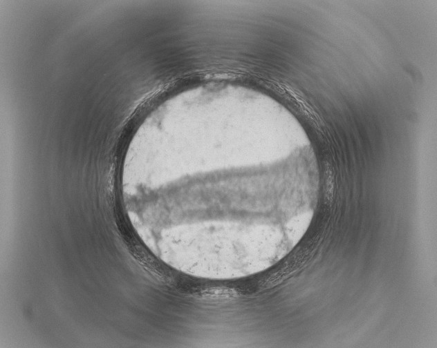 X0000115030543200912071051