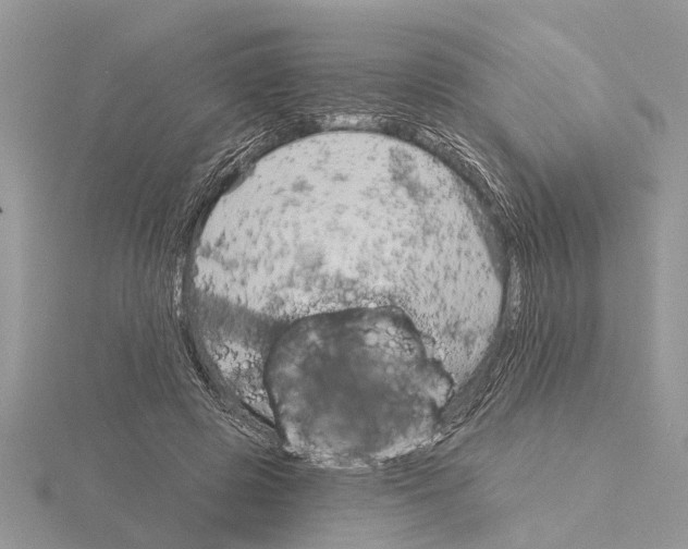 X0000115030545200912071051