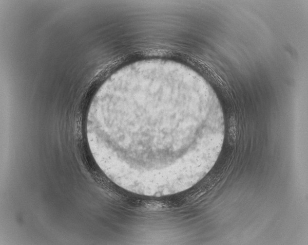 X0000115030547200912071051