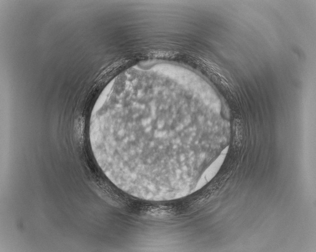 X0000115030550200912071051