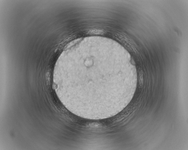 X0000115030551200912071051