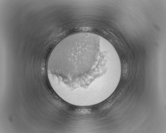 X0000115030553200912071051