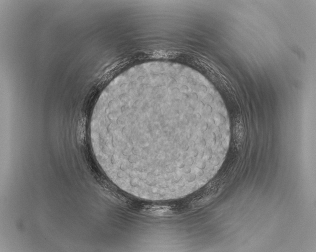 X0000115030554200912071051