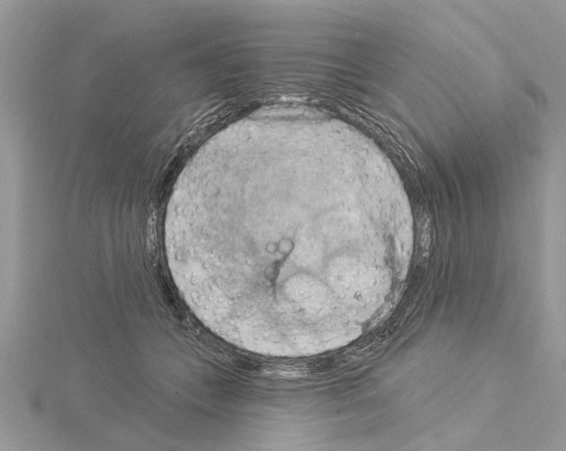 X0000115030559200912071051