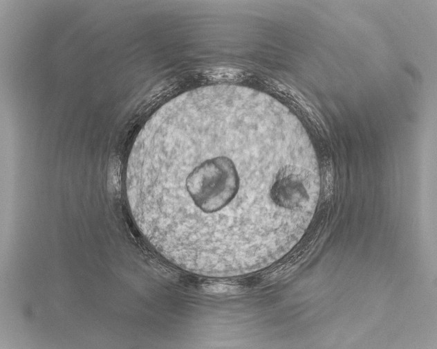 X0000115030561200912071051