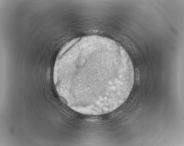 X0000115030563200912071051