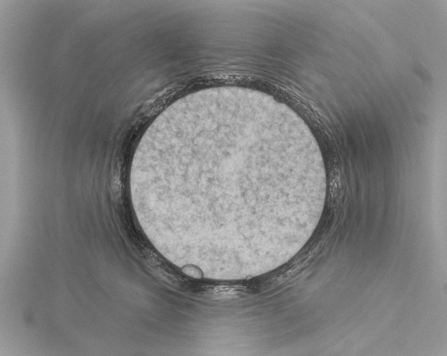 X0000115030566200912071051