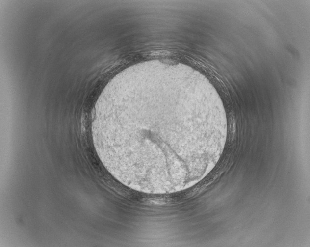 X0000115030567200912071051