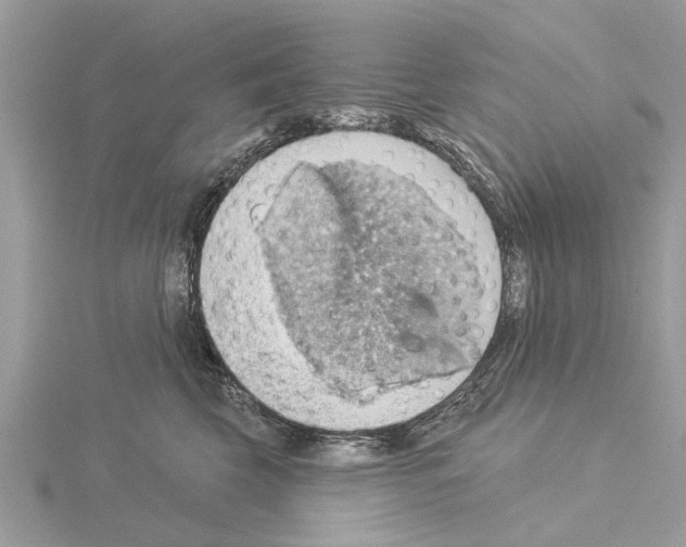 X0000115030569200912071051