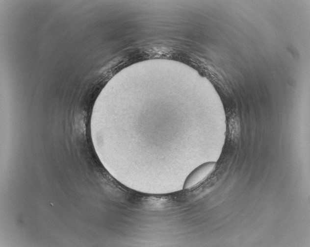 X0000115030570200912071051