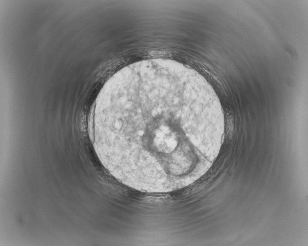 X0000115030571200912071051