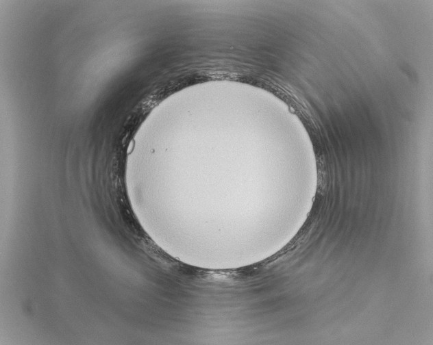 X0000115030573200912071051