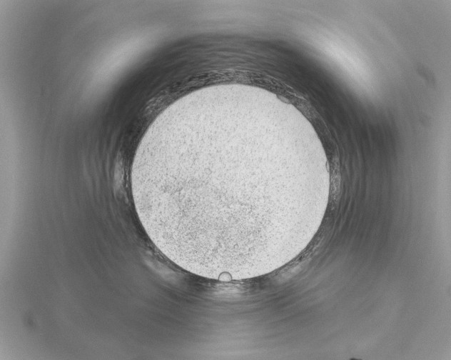 X0000115030574200912071051