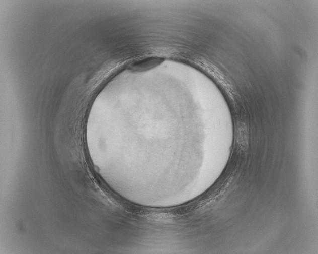 X0000115030577200912071050