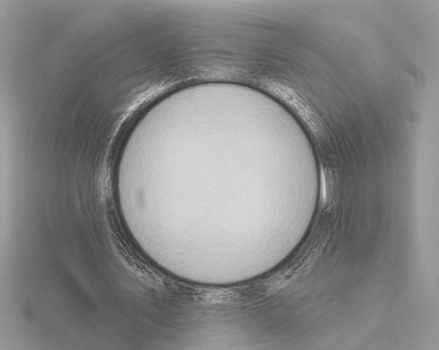 X0000115030579200912071050