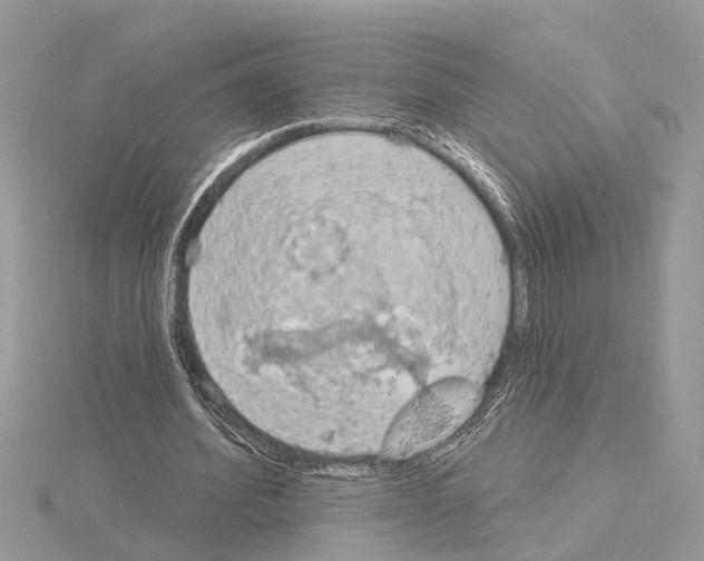 X0000115030580200912071050