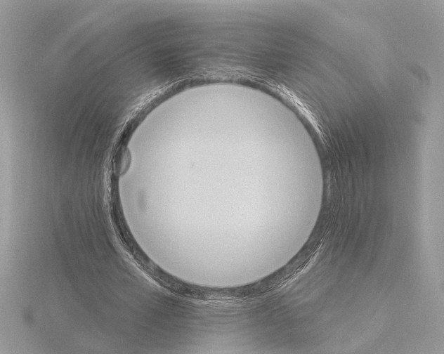 X0000115030581200912071050