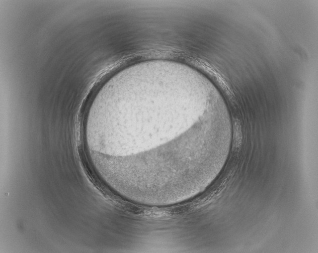 X0000115030582200912071050