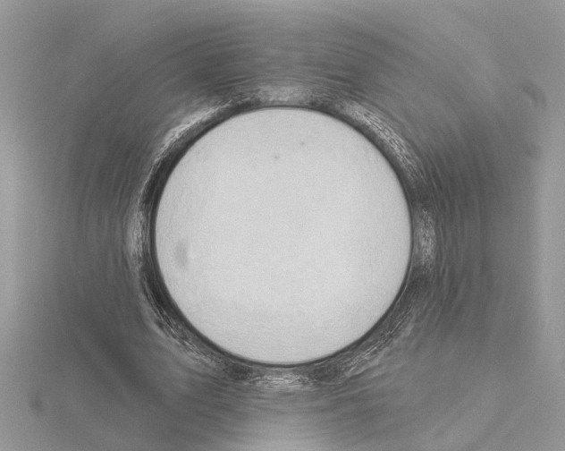 X0000115030583200912071050